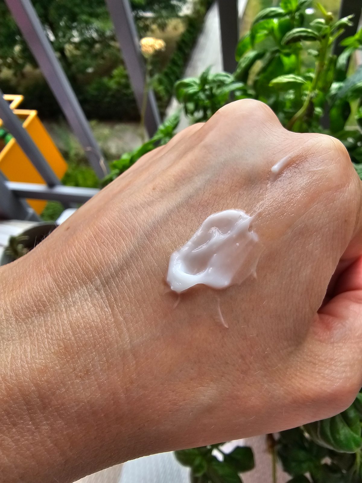 Black Rice 5 Ceramide Barrier Moisturizing Cream 3