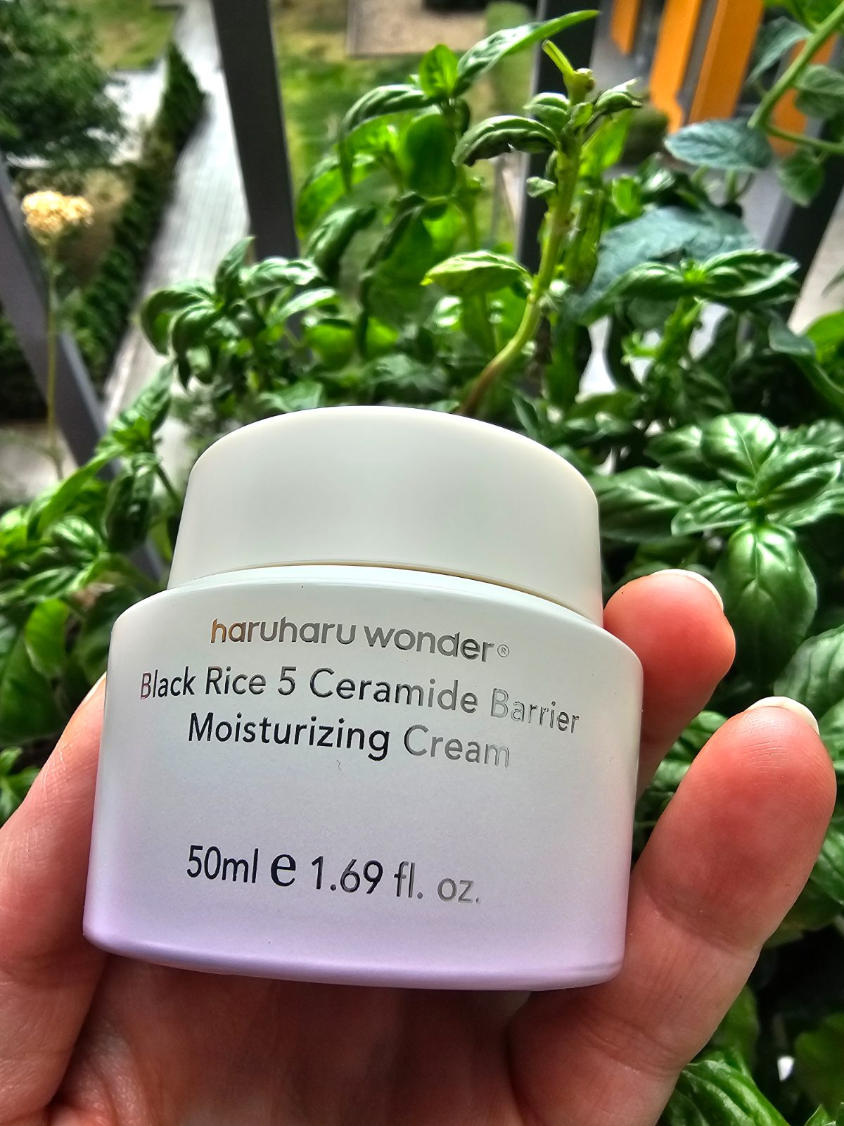 Black Rice 5 Ceramide Barrier Moisturizing Cream 1